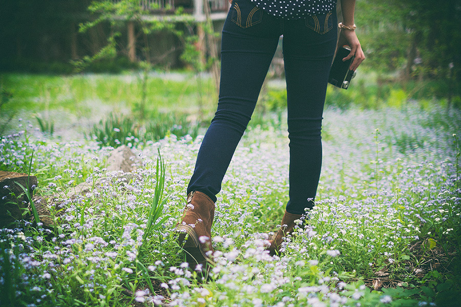 Forget-Me-Nots